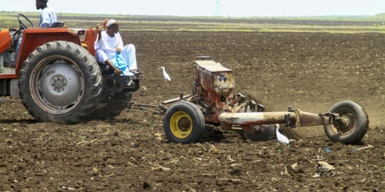 War decimates harvest in famine-threatened Sudan