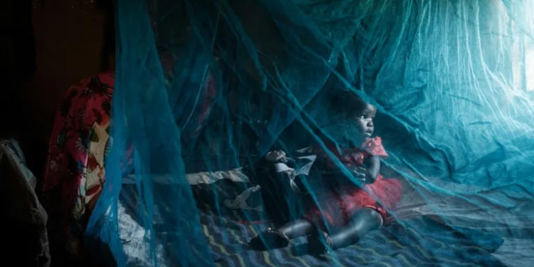 Bed nets -- up to now the prime weapon against malaria -- may be much less effective against the urban mosquito (YASUYOSHI CHIBA) (YASUYOSHI CHIBA/AFP/AFP)