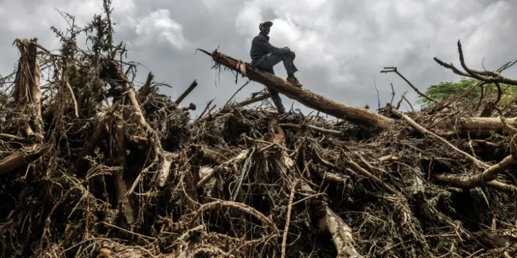 Climate scientists say that global warming drives extreme weather like storms, floods and heatwaves, making these disasters more frequent and intense (LUIS TATO) (LUIS TATO/AFP/AFP)