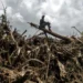 Climate scientists say that global warming drives extreme weather like storms, floods and heatwaves, making these disasters more frequent and intense (LUIS TATO) (LUIS TATO/AFP/AFP)
