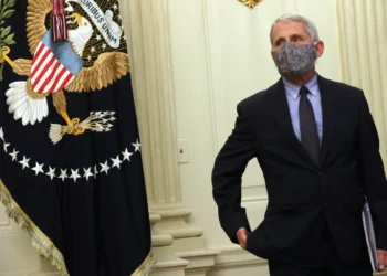 Biden eyes preemptive pardons as Trump plots revenge: reports