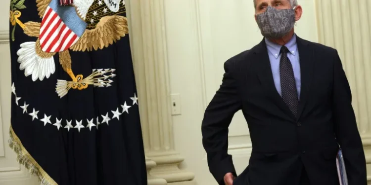 Biden eyes preemptive pardons as Trump plots revenge: reports