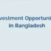 Bangladesh must boost investment to avoid economic crisis: Analysts