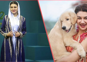 You can have fun without bursting firecrackers: Jaya