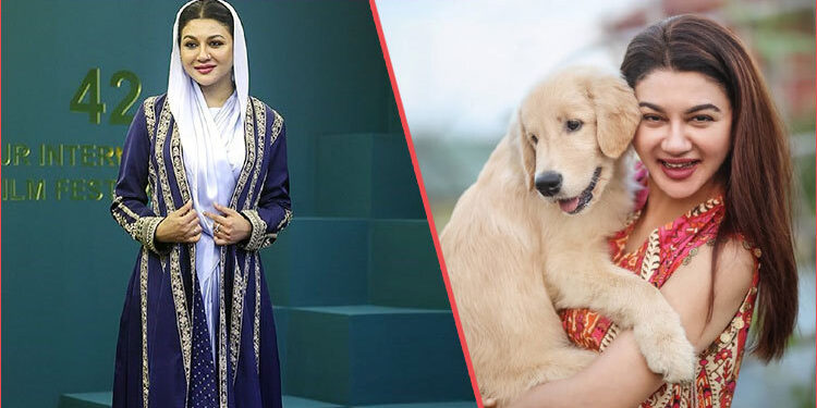 You can have fun without bursting firecrackers: Jaya