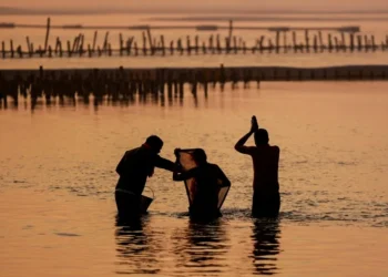 India readies for 400 million pilgrims at mammoth festival