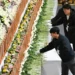 S. Korea starts releasing Jeju Air crash victims to families