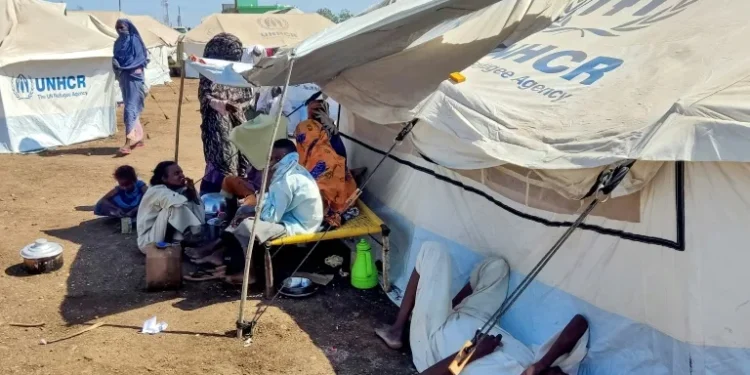 Over two-thirds of displaced families in east Sudan short of food: NGO