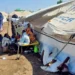 Over two-thirds of displaced families in east Sudan short of food: NGO