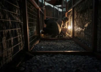 Trump has not provided any details on how he would secure a ceasefire in 24 hours (Florent VERGNES) (Florent VERGNES/AFP/AFP)