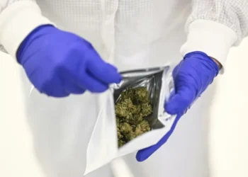 ‘Huge demand’: Portugal dreams of becoming medical cannabis hub