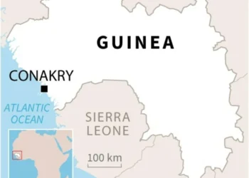 Stampede kills at least 56 at Guinea football match