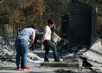 California governor spars with Musk over wildfire ‘lies’