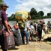 80 killed, thousands displaced in Colombian guerrilla violence