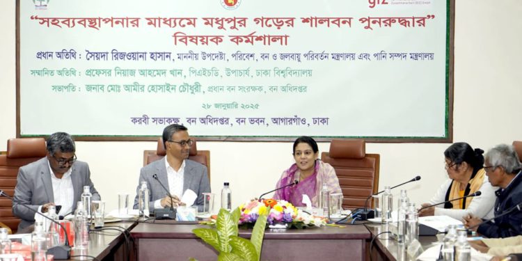 The government will launch a campaign to restore the sal forest in Tangail starting in March