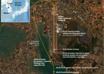 Bird feathers and bloodstains found in Jeju jet engines: report