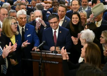 Trump-backed Republican Johnson elected speaker of US House
