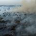 Brazil Saw 79% Jump In Area Burned By Fires In 2024: Monitor