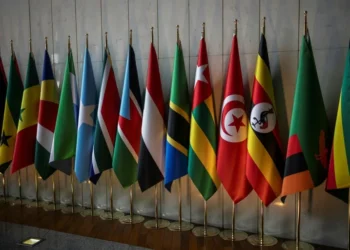 DRC conflict overshadows African summit