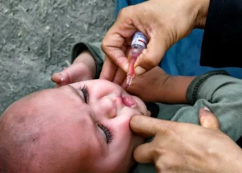 Pakistan Taliban kill police polio escort as vaccination drive starts