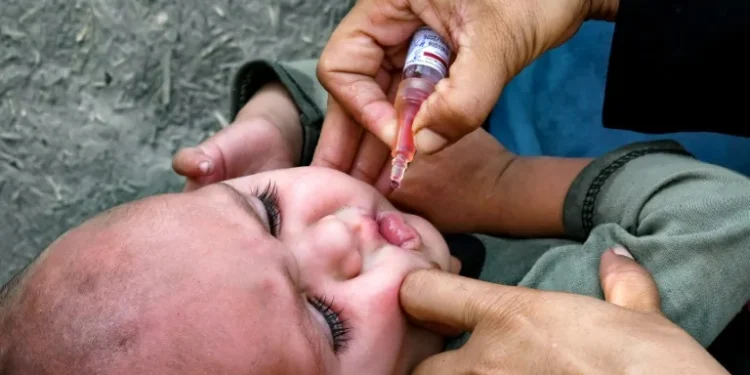 Pakistan Taliban kill police polio escort as vaccination drive starts