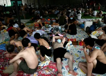 ‘Escaping hell’: Myanmar scam centre workers plead to go home