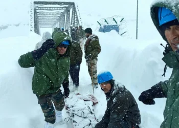 Five dead in India avalanche as survivors recall rescue