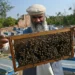 Plan B: Climate change forces Pakistan beekeepers to widen pursuit of flowers