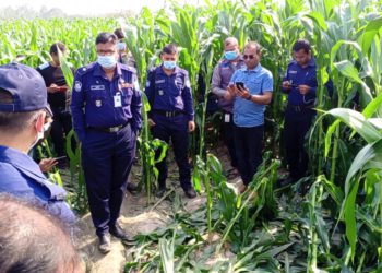 Unidentified headless woman’s body found in corn field in Lalmonirhat