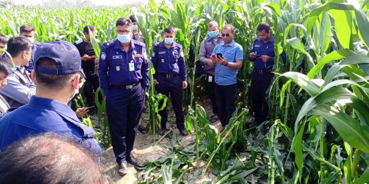 Unidentified headless woman’s body found in corn field in Lalmonirhat