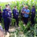 Unidentified headless woman’s body found in corn field in Lalmonirhat