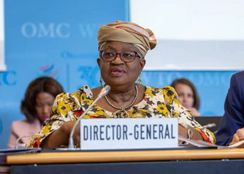 Global trade to face 1% contraction this year: WTO DG