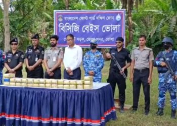 3 lakh yaba destroyed in Bhola