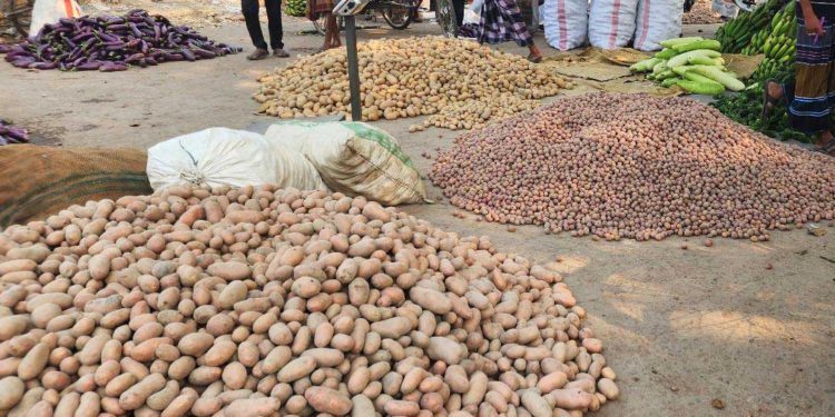 Potatoes cost 10 taka per kg in Akkelpur, farmers face a price hike