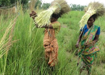 The lives of tribal’s and small ethnic groups in Chalanbeel are without flowers