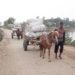 Horse-drawn carriages are becoming more popular in Chalanbeel instead of bullock carts