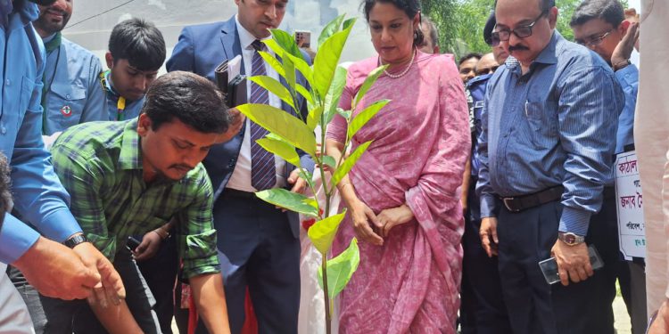 One Lakh Saplings Planted in a Day in Savar
