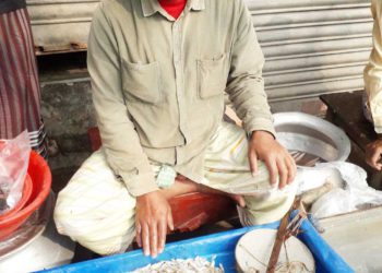 A festival of killing native species of fish and fish with eggs is underway in Chalanbeel