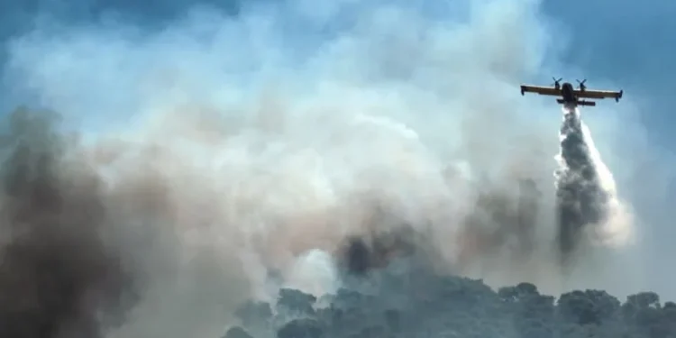 UN report: Older people at particular risk from climate change