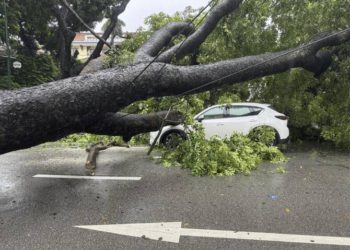 Typhoon Death Toll Rises In Vietnam As Downed Trees Hamper Rescuers
