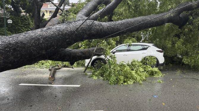 Typhoon Death Toll Rises In Vietnam As Downed Trees Hamper Rescuers