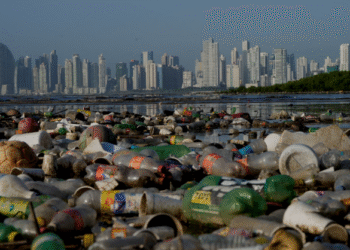 Resumed fifth session of negotiations on a global plastic pollution treaty opens in Geneva