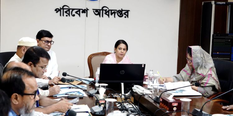 Environment Advisor Syeda Rizwana Hasan Urges Brick Kilns in Savar to Remain Closed