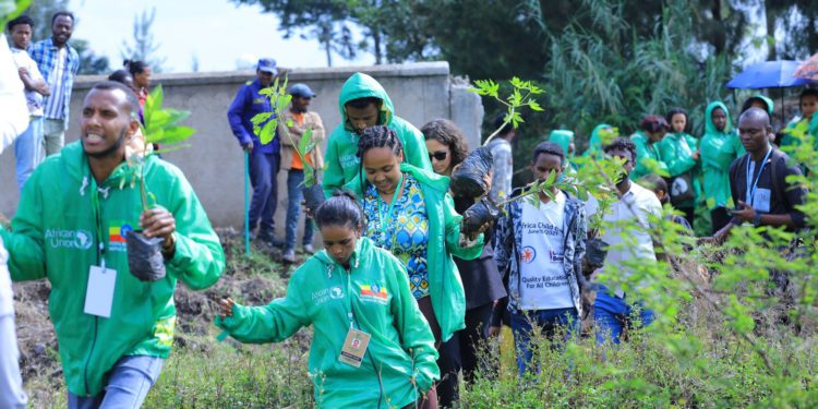 COP30 Youth Task Force mobilizes 200 Young People in Addis Ababa and Plants 300 Saplings at Africa Climate Summit