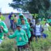 COP30 Youth Task Force mobilizes 200 Young People in Addis Ababa and Plants 300 Saplings at Africa Climate Summit