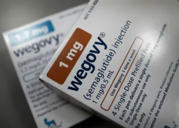 Appetite-regulating hormones in focus as first Nobel Prizes fall