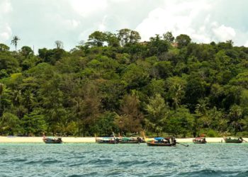 Global Momentum Builds Ahead of COP30 as 2025 NDCs Synthesis Report Calls for Accelerated Climate Cooperation