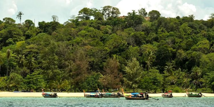 Global Momentum Builds Ahead of COP30 as 2025 NDCs Synthesis Report Calls for Accelerated Climate Cooperation