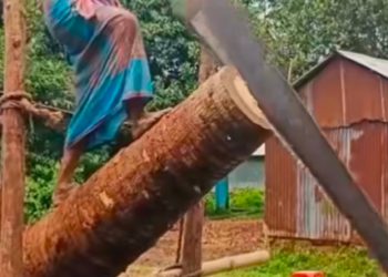 The extinction of the sawmill of rural Bengal due to the touch of modernity