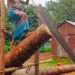 The extinction of the sawmill of rural Bengal due to the touch of modernity